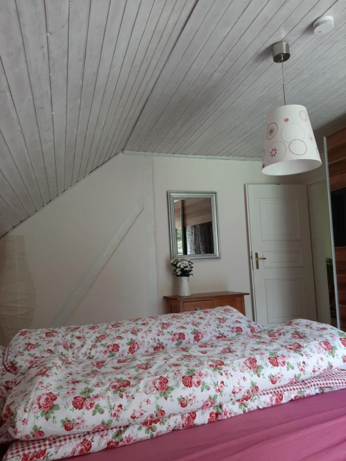 Kehrmuehle Villa Ober Kostenz Buitenkant foto